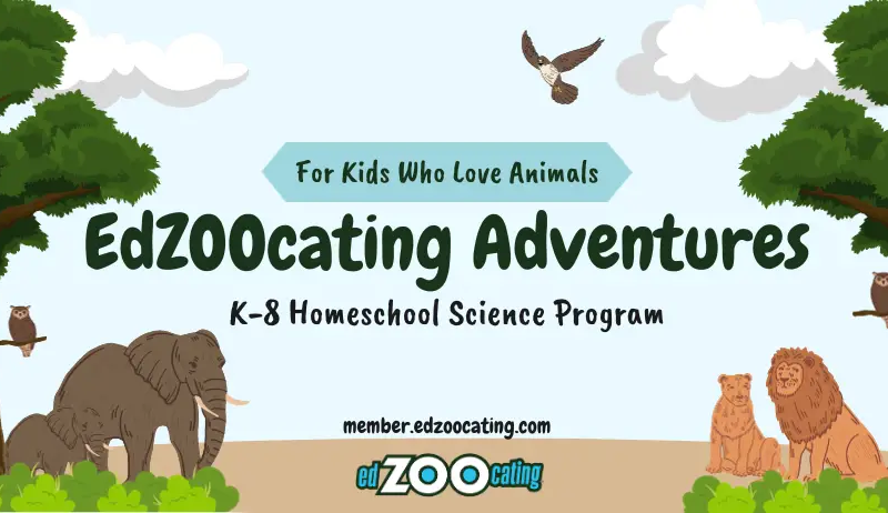 EdZOOcating Adventures